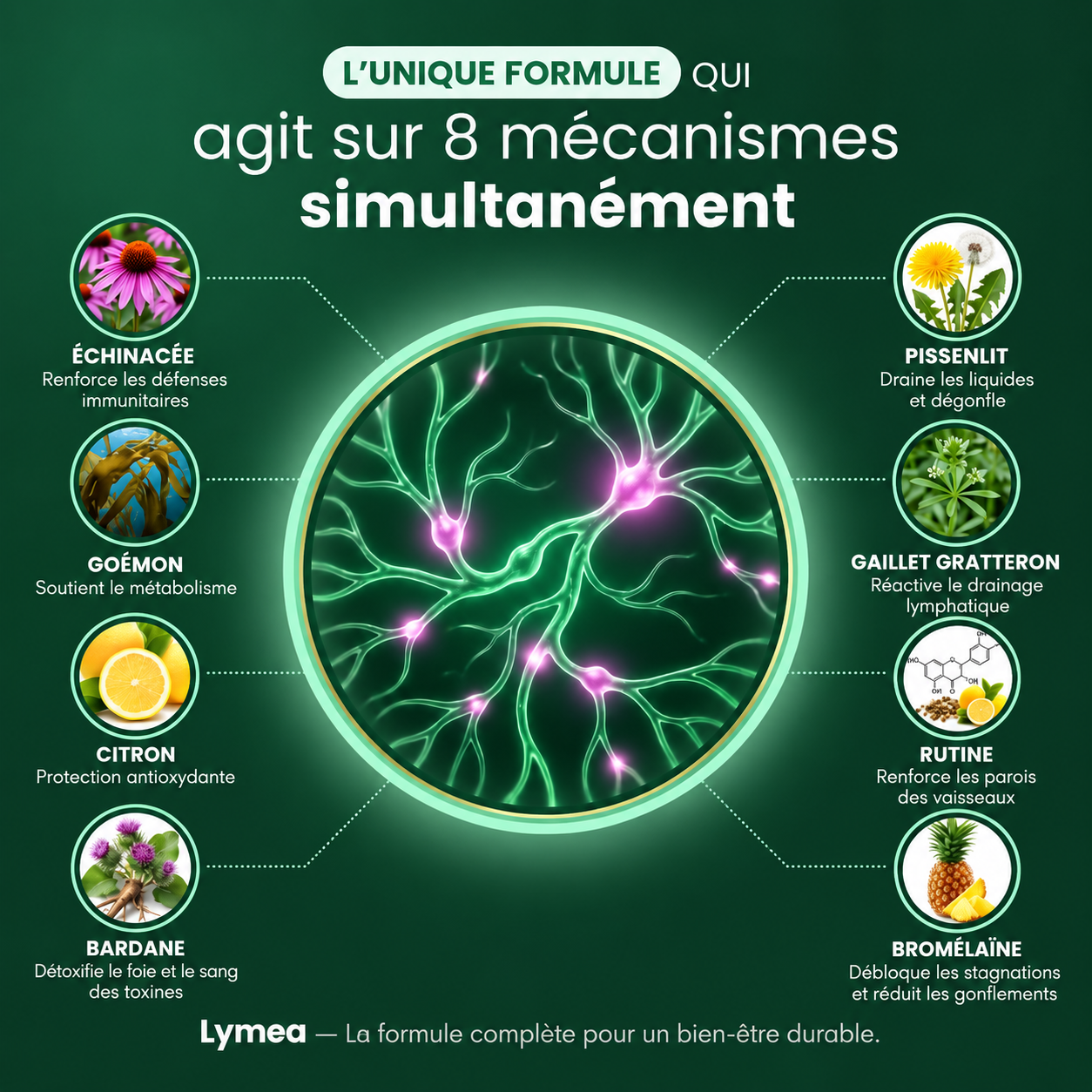 Lyméa™ – Drainage Lymphatique