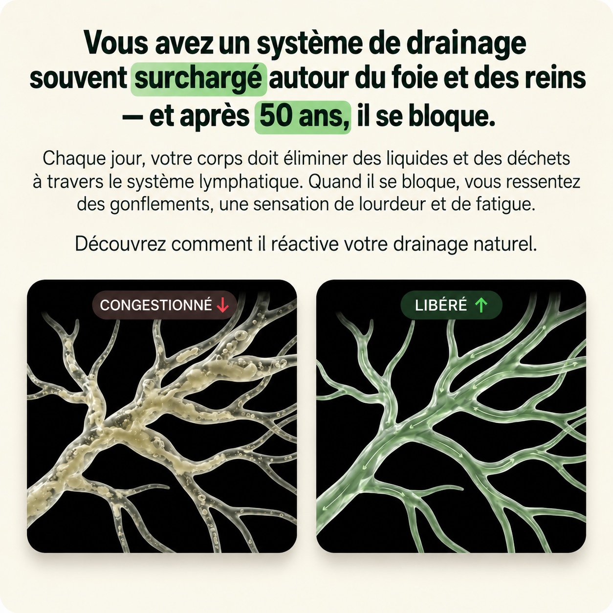 Lyméa™ – Drainage Lymphatique